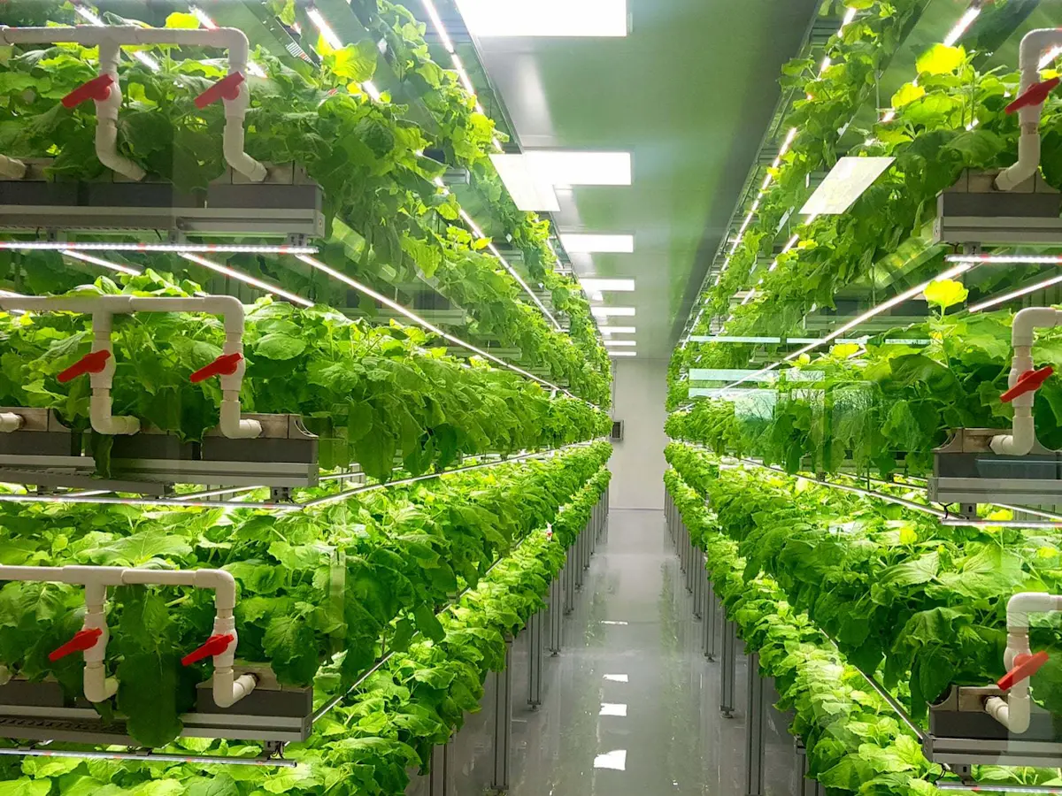 JARO plastic valves and pipe fittings integrated in vertical hydroponic farming nutrient irrigation system