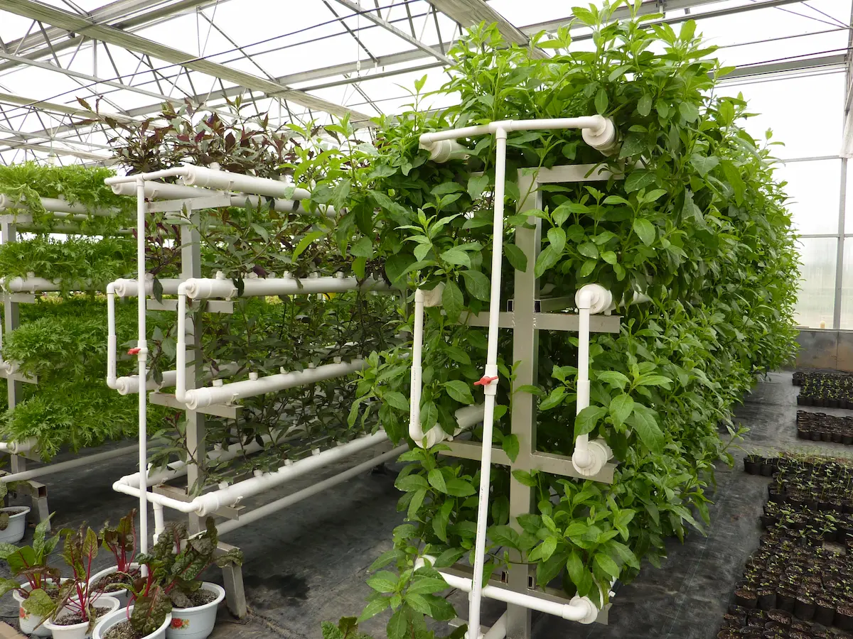 JARO plastic valves and pipe fittings integrated in hydroponic greenhouse facility piping system